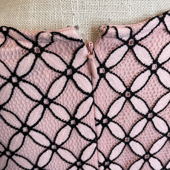 Sandra Darren Pink & Black Lace Dress - Picture 6 of 11